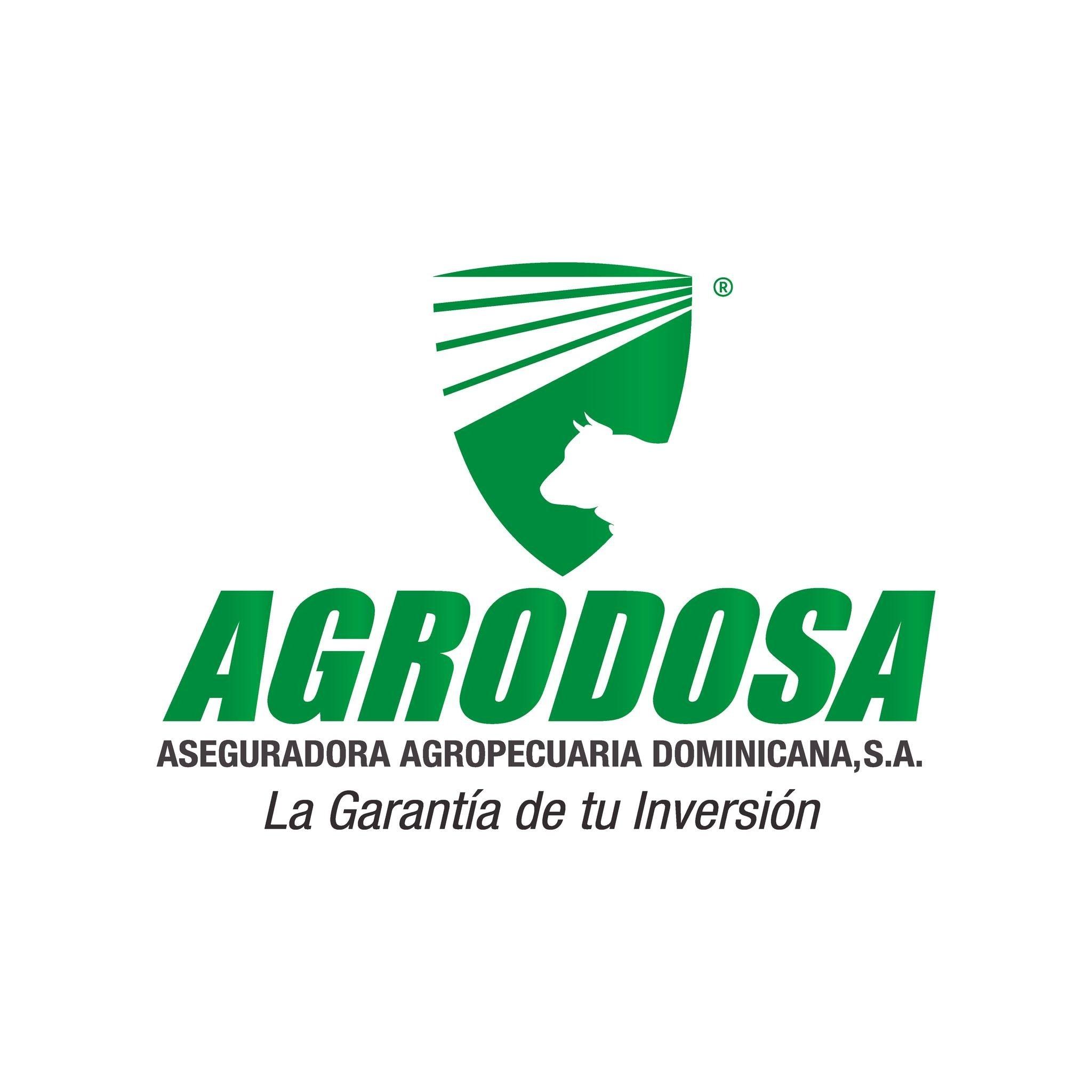 Carta de categoria