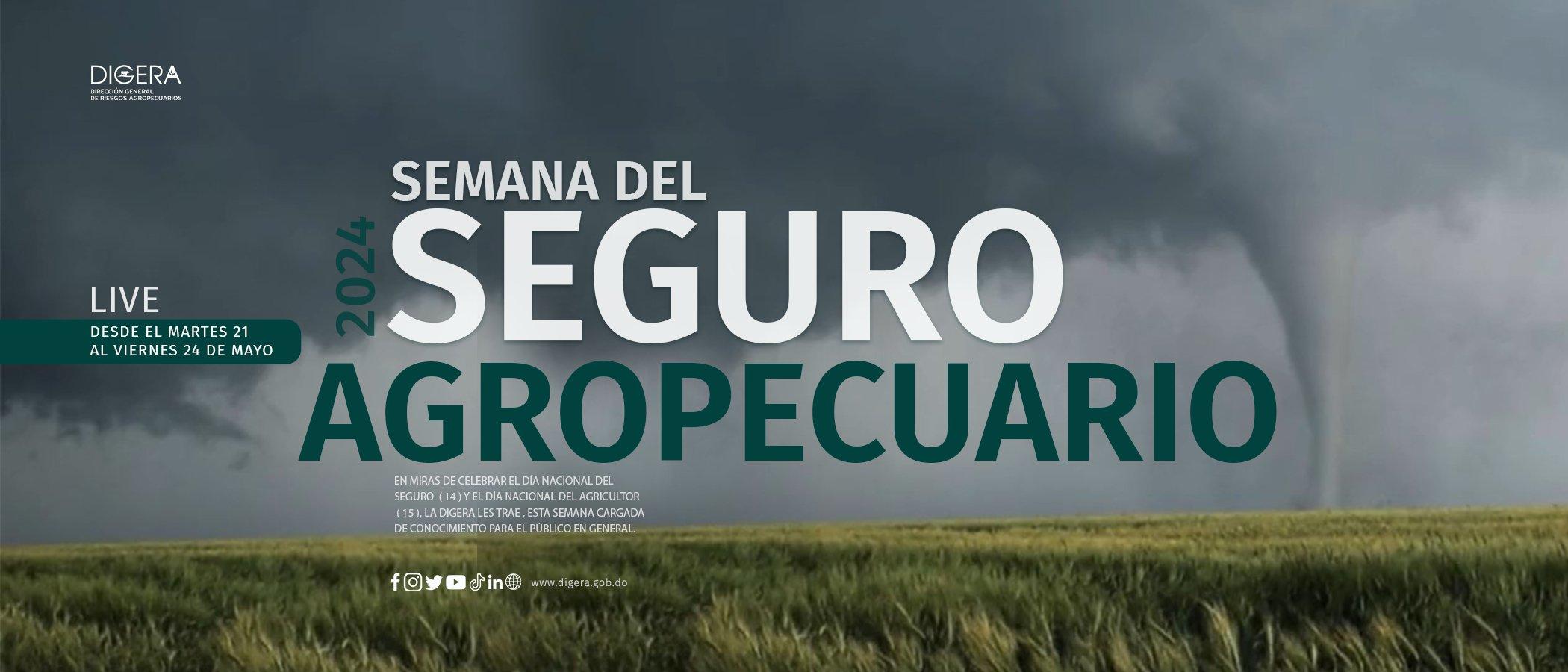 Imagen destacada