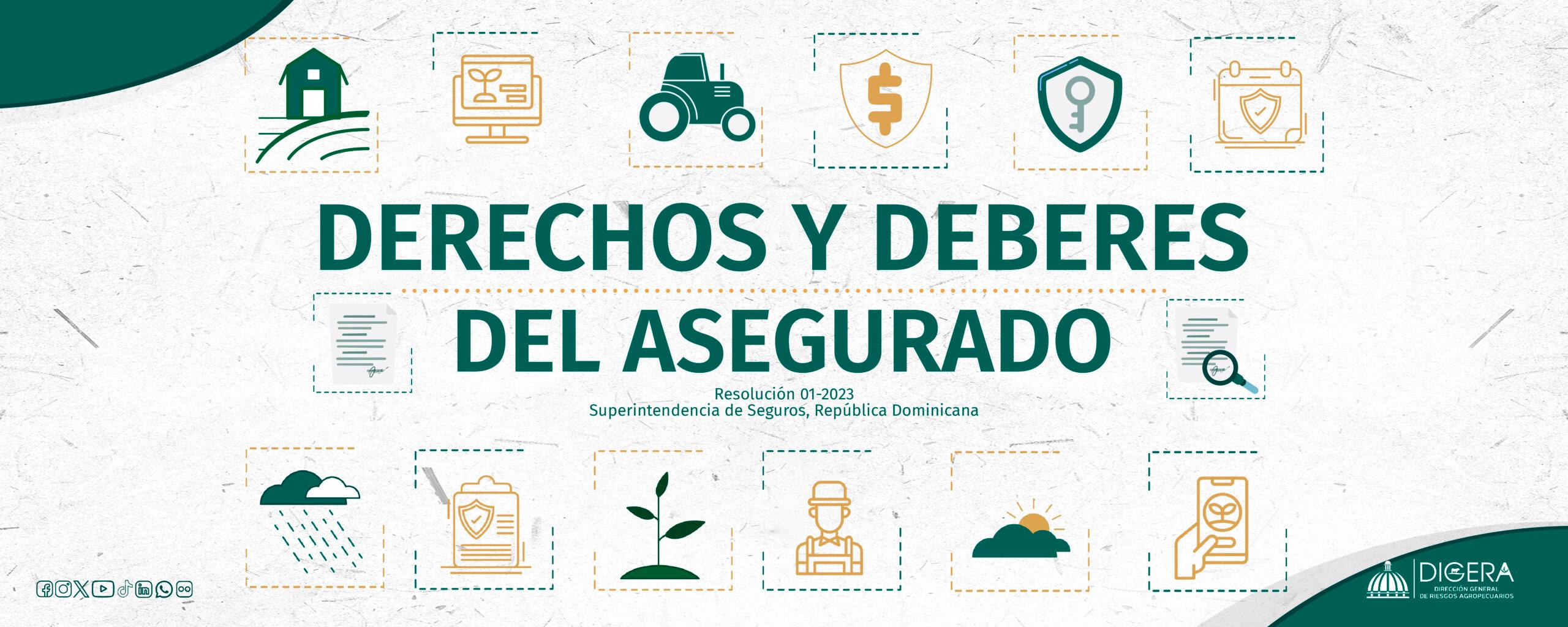 Carta de categoria
