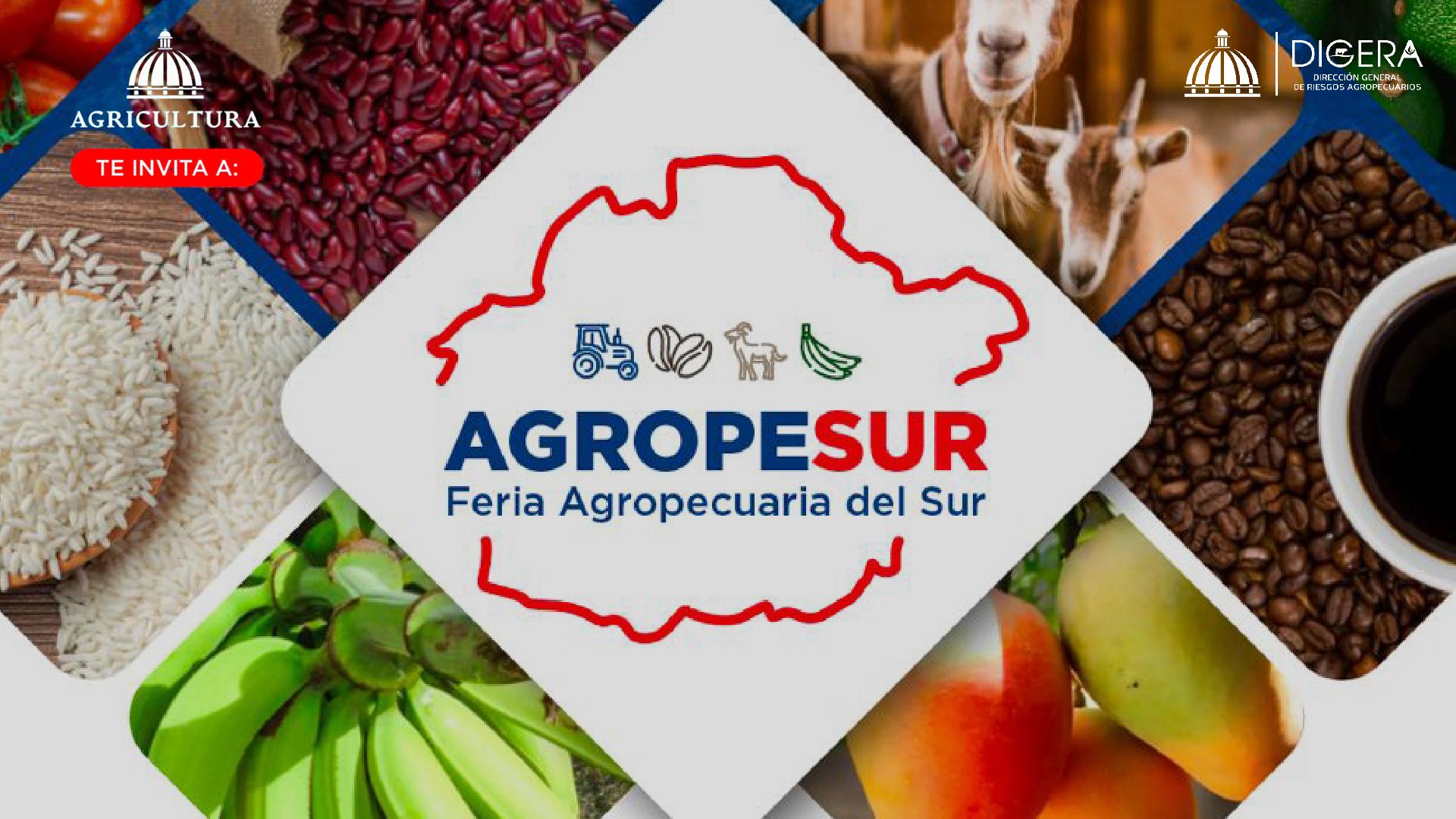 Carta de categoria