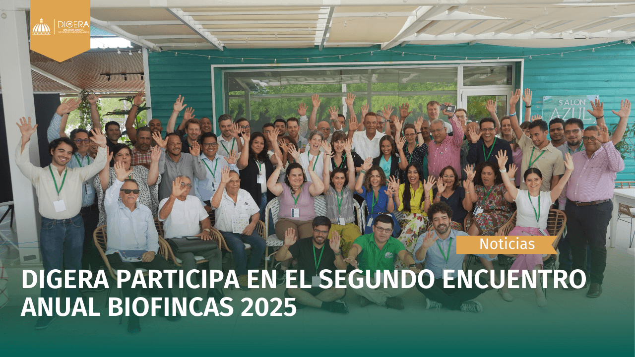 Carta de categoria