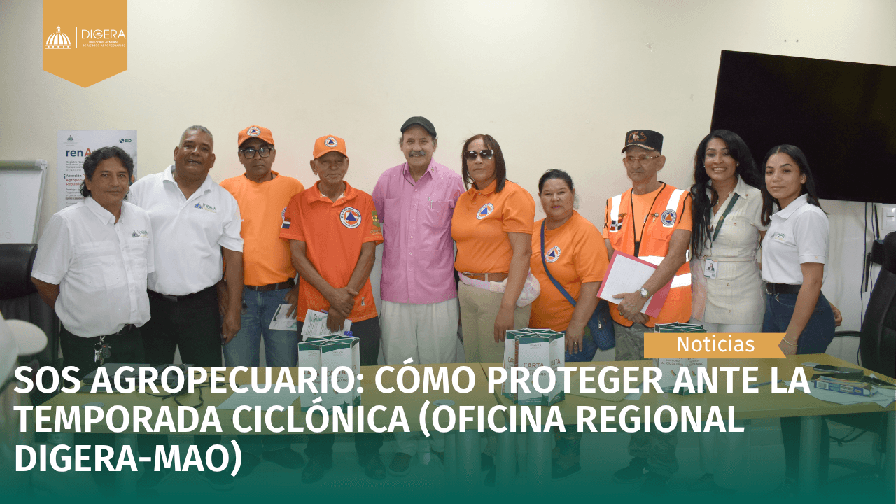 Carta de categoria