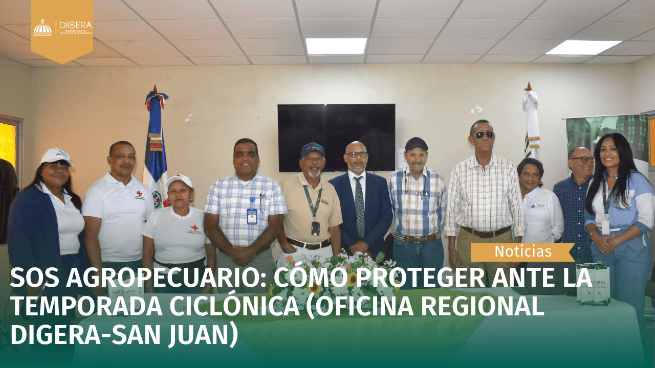 Carta de categoria