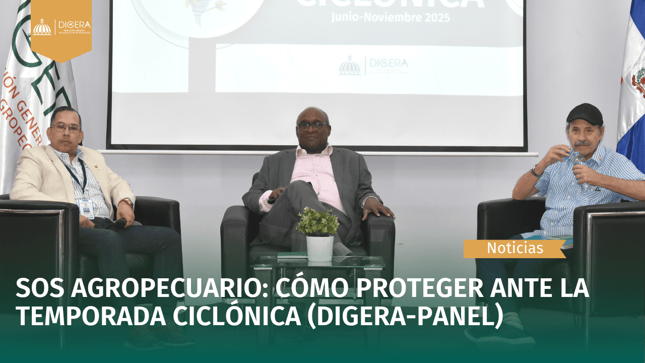Carta de categoria